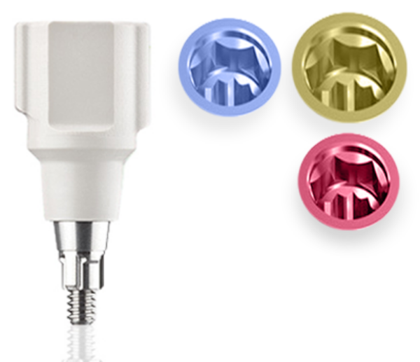 Axsys Dental Solutions. Biomet 3i Certain® Compatible H-Series 3-D Guide