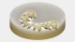 Picture of cameo Dental CAD Base Module