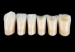 Picture of REF-LINE Lower Anterior Teeth