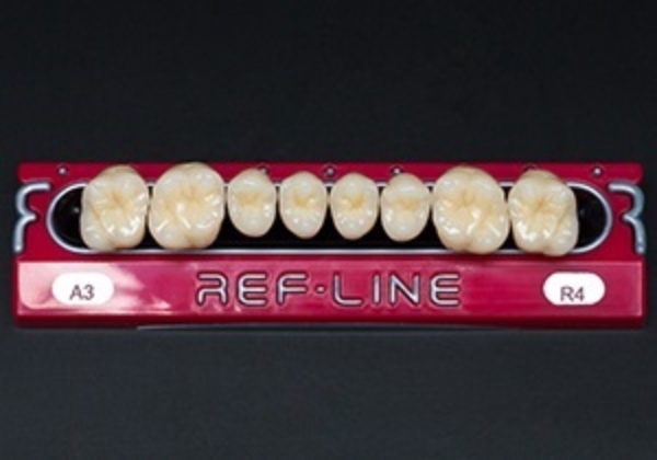 Picture of REF-LINE Posterior Teeth