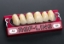 Picture of REF-LINE Upper Anterior Teeth