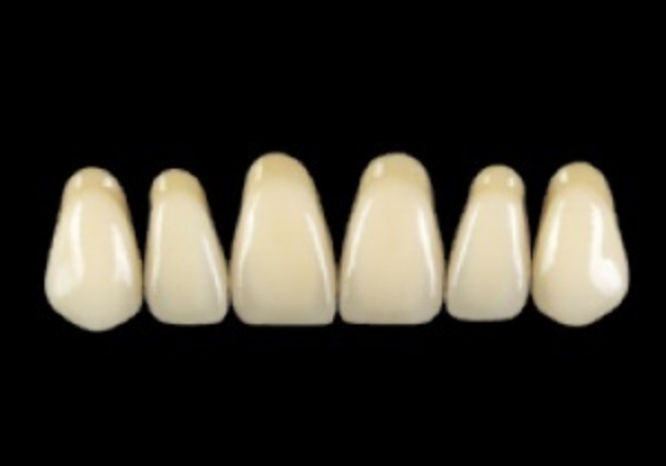 Picture of PRIMODENT Upper Anterior Teeth