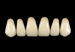 Picture of PRIMODENT Upper Anterior Teeth