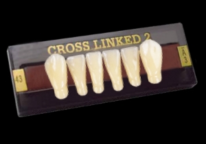 Picture of CROSS LINKED 2 Lower Anterior Teeth