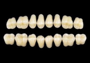 Picture of CROSS LINKED 2 Posterior Teeth