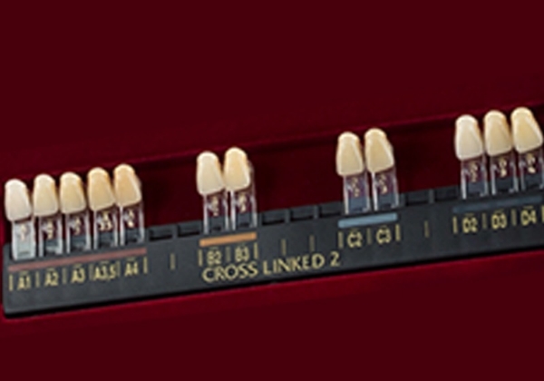 Picture of CROSS LINKED 2 Shade Guide