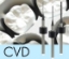 Picture of Versamill ax300/400 OEM Zirconia Tool D1.0xL16x50 ND3000, Diamond Ballnose Endmill.
