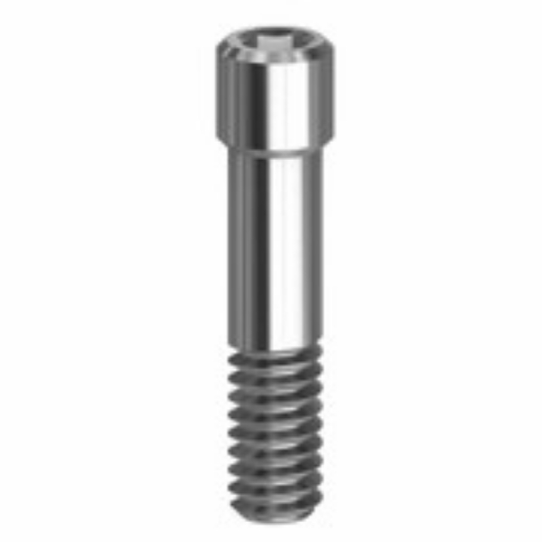 Picture for category Camlog® Screws