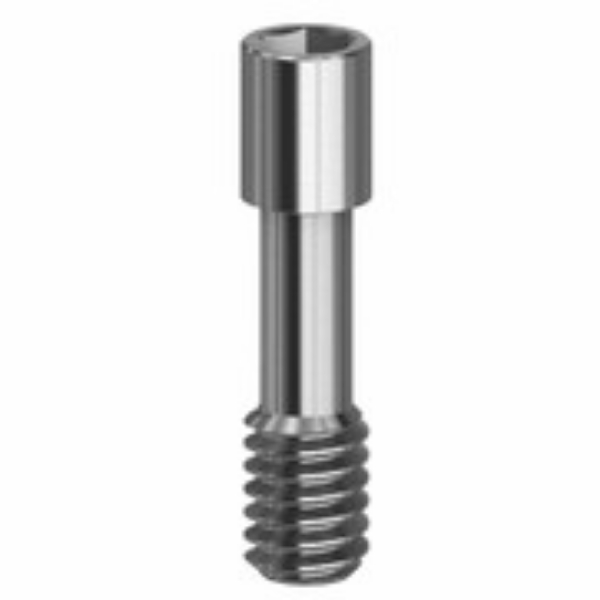 Picture for category Zimmer®  Internal Hex Screws