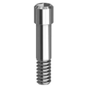 Picture of Final Screw - 3.4/4.1/5.0 - 19.011-P10