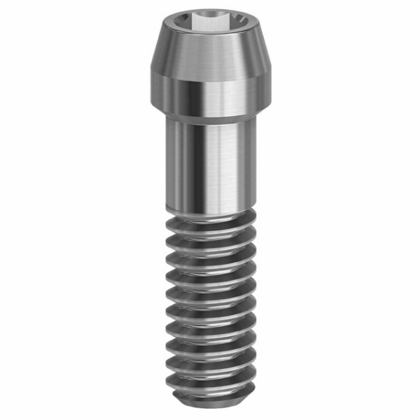 Picture of Final Screw - 4.2 - 19.060