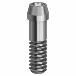 Picture of Final Screw - 4.8/5.4 - 19.061