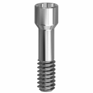 Picture of Final Screw - 3.0 - 19.068