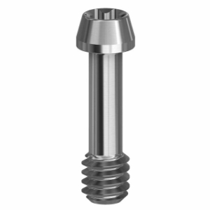 Picture of Screw for ANGLEBase® - 4.3 (RP)/5.0 (WP) - 19.405