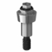 Picture of Straight Multiunit Abutment - 2.0mm Collar Height - 4.3 (RP) - 40.005/2