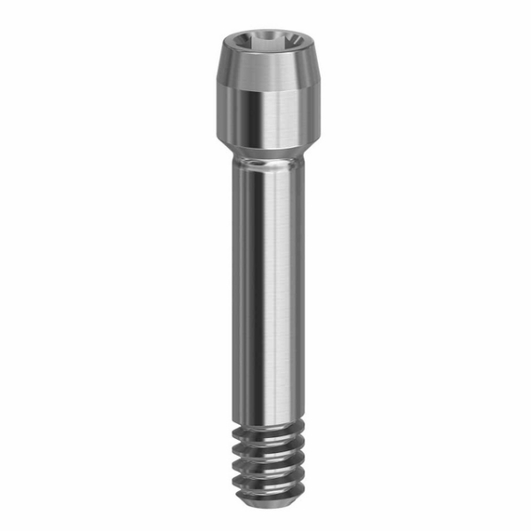 Picture of Final Screw - Standard - 19.073