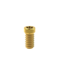 Picture of Ti Screw TiN Ø 4,8