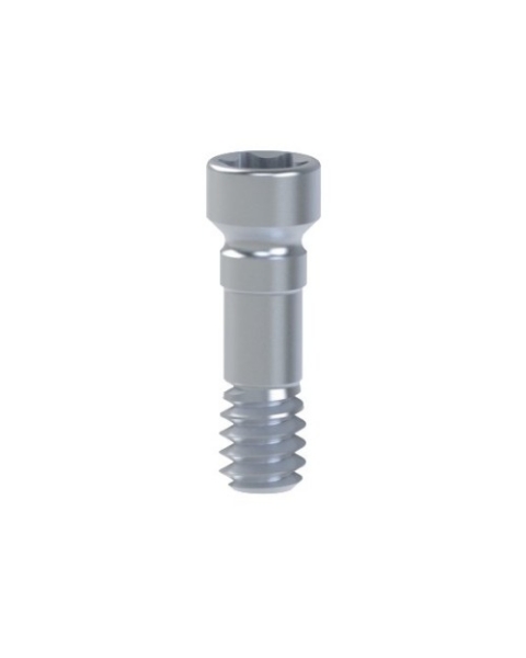 Picture for category Screws