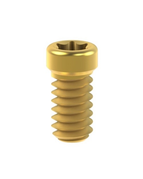 Picture for category Screws