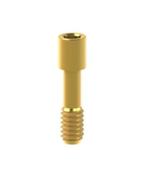 Picture for category Screws