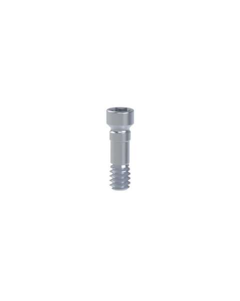 Picture of Ti Screw RB/WB