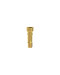 Picture of Ti Screw TiN RB/WB