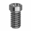 Picture of Final Screw for on Abutment - 4.1/4.8/6.5 (RN/WN) - 19.009