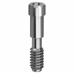 Picture of Final Screw - 4.3 (RP)/5.0 (WP)/6.0 - 19.005-P10