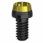 Picture of DLC & Anodised Full Arch Screw - Multiunit (RP) - 19.269-P10