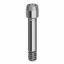 Picture of Final Screw - Standard - 19.073